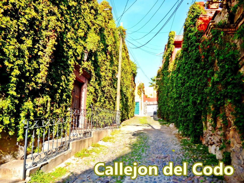 Hotel Colibri & San Miguel de Allende