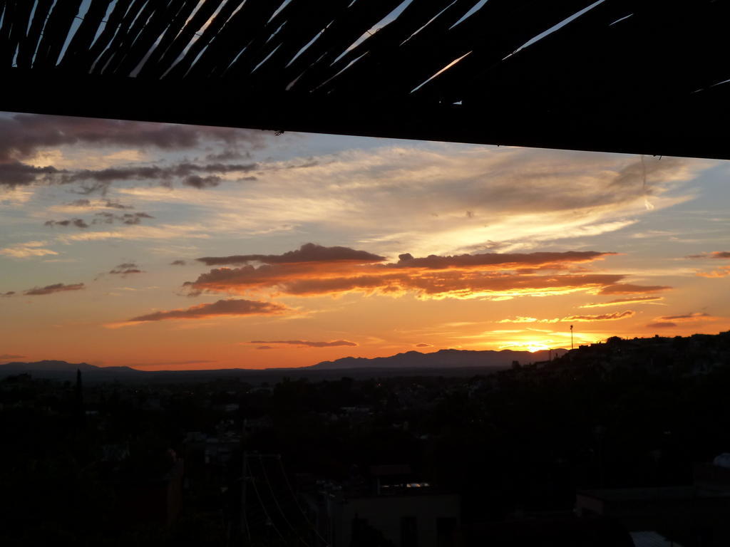 Colibri & San Miguel de Allende