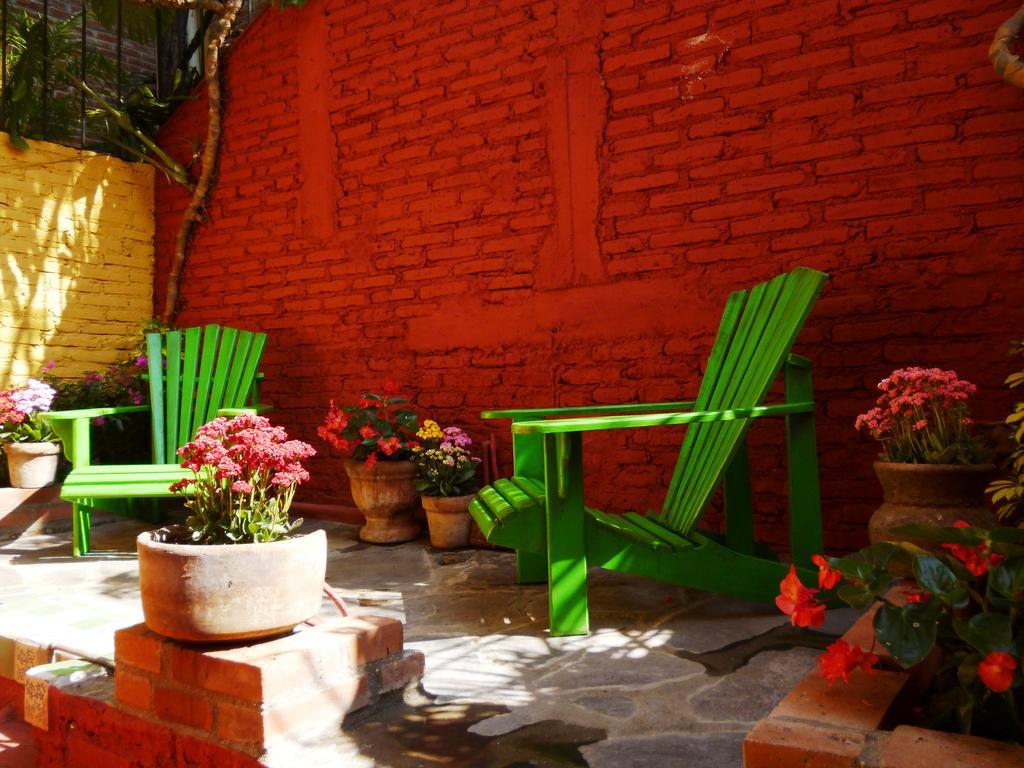 Colibri & San Miguel de Allende