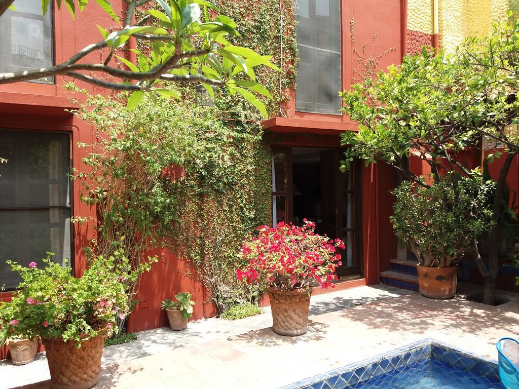 Colibri & Hotel 3*