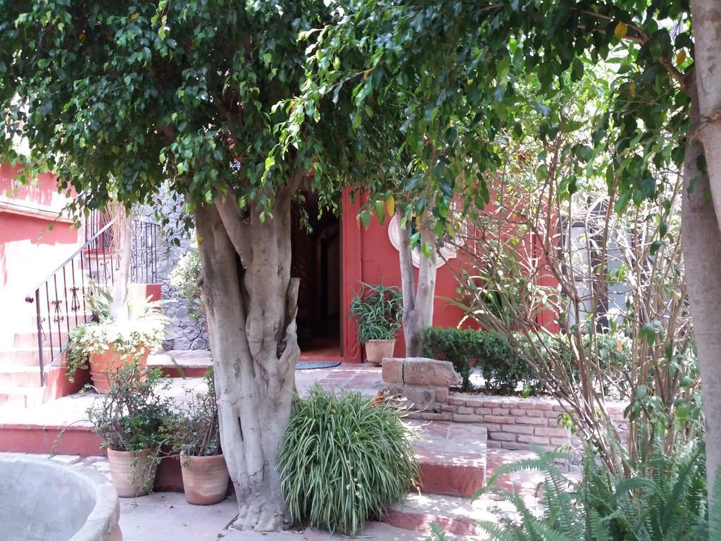 Colibri & Hotel San Miguel de Allende