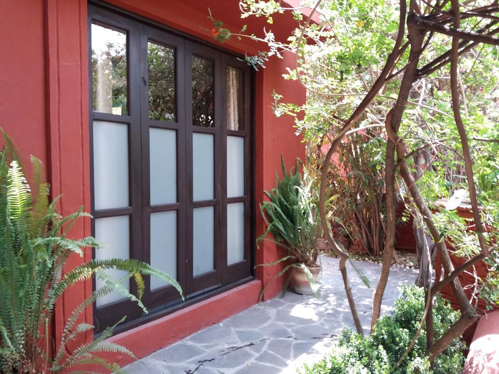 Colibri & San Miguel de Allende