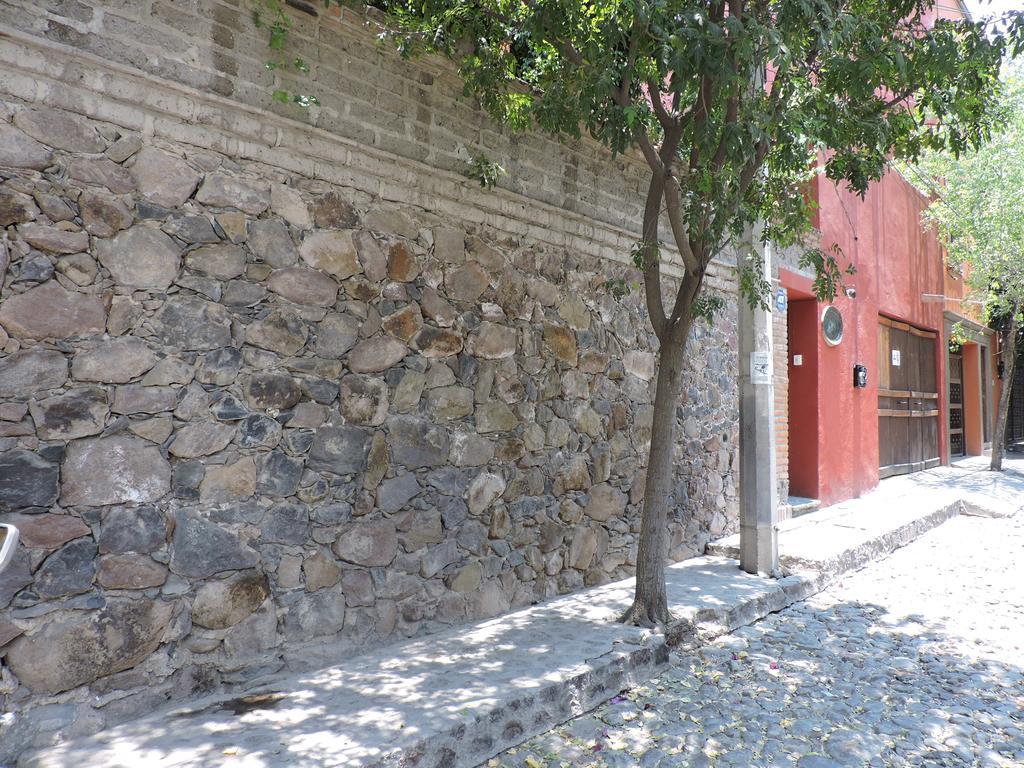 Colibri & San Miguel de Allende