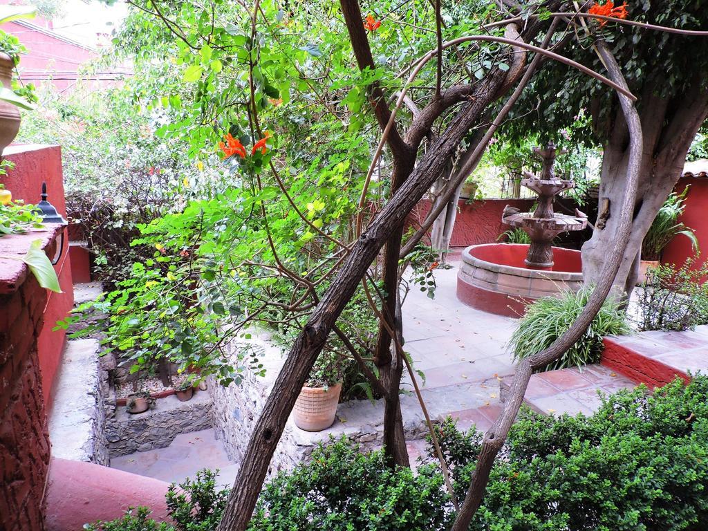 Hotel Colibri &