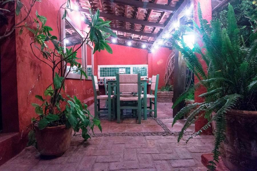 Colibri & Hotel 3*